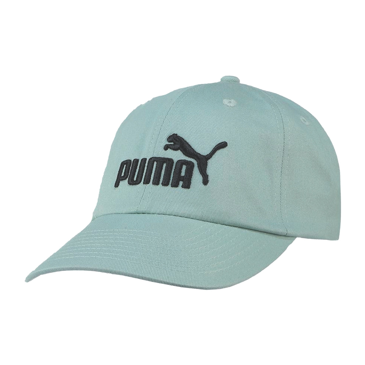 Gorra Puma Unisex Torneo de la Amistad D5